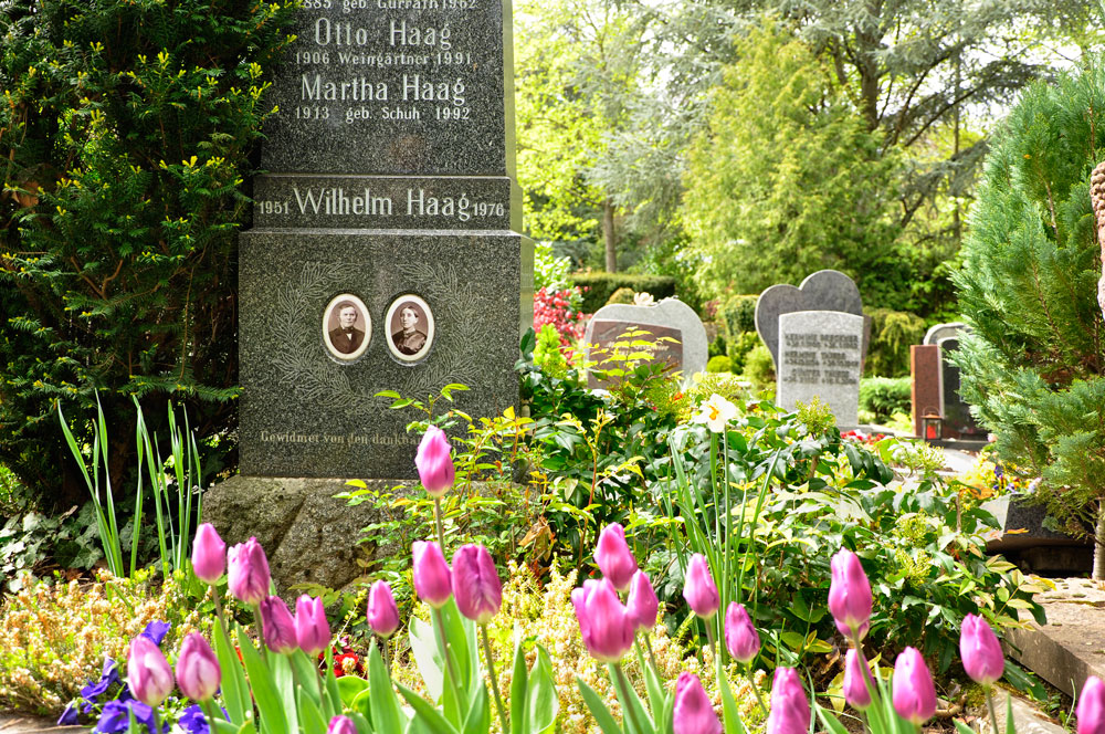 Der Heilbronner Hauptfriedhof im Frühling