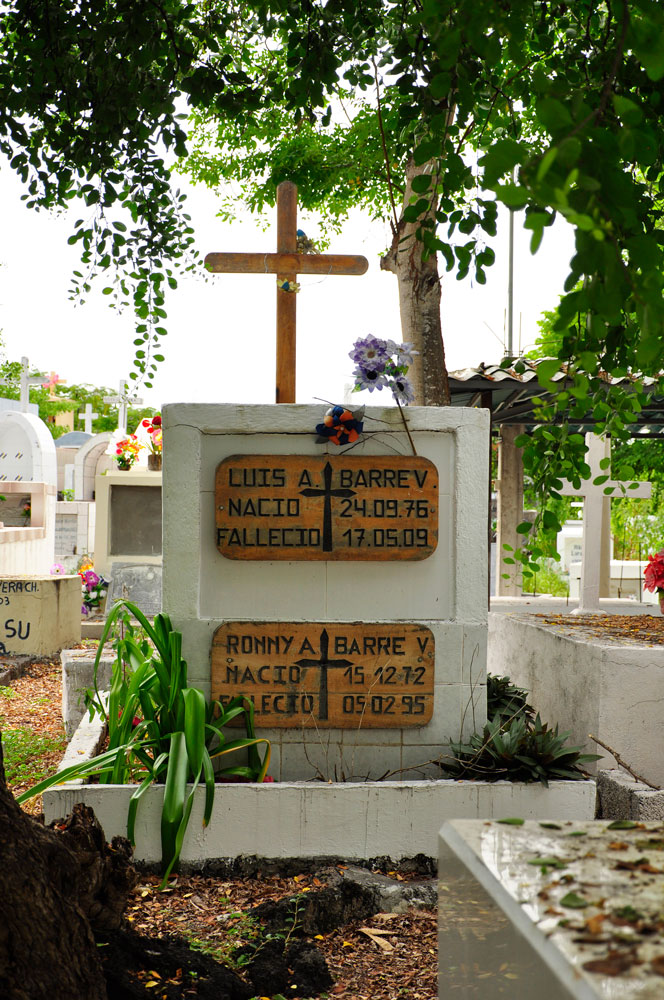 Friedhof Hafenstadt, Insel Santa Cruz (Galapagos)