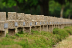 Soldatenfriedhof_Belgien_195_WEB