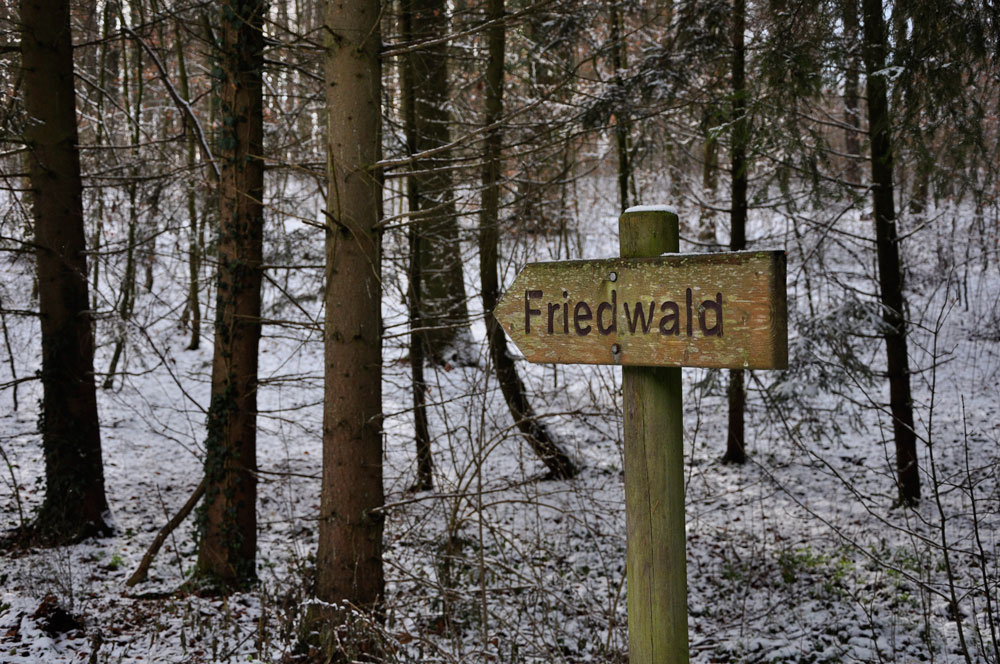 Friedwald Schwaigern