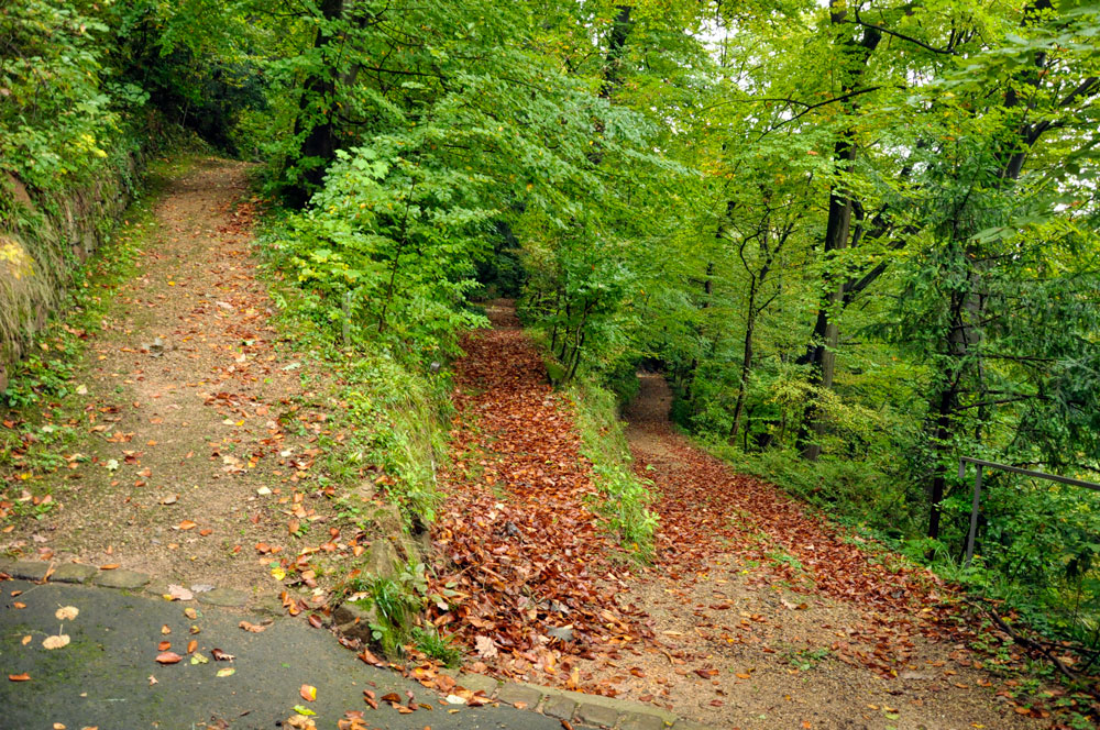 Bergfriedhof Heidelberg