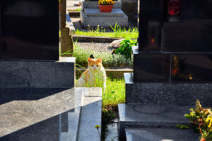Friedhof_Susice_TSCHECHIEN_080516_076